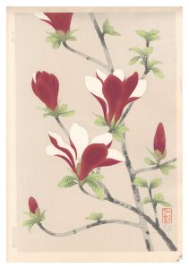 Ito Nisaburo / Magnolia