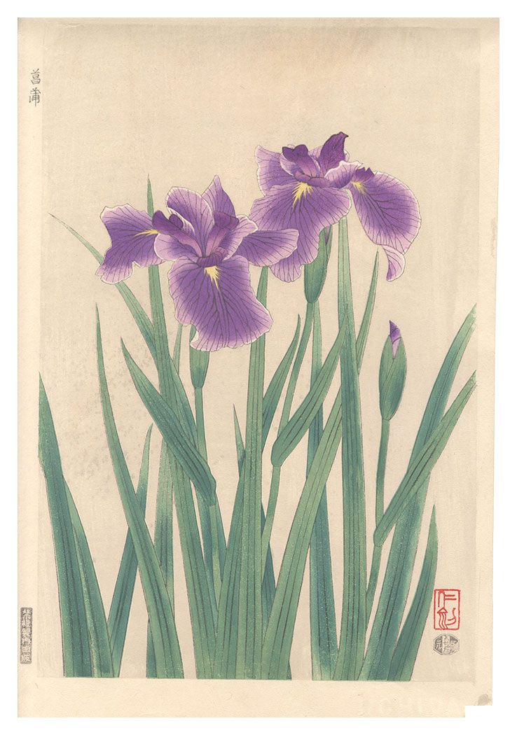 Ito Nisaburo “Iris”