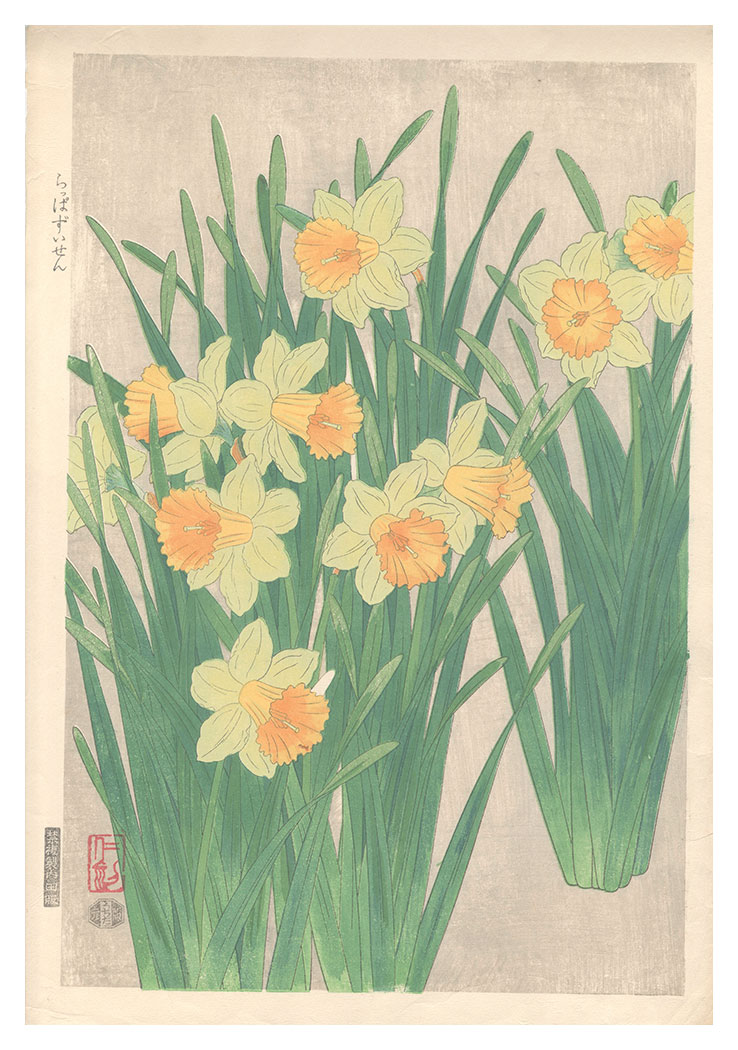 Ito Nisaburo “Narcissus pseudonarcissus”