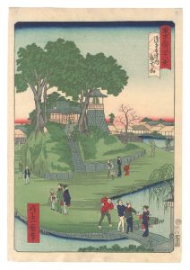 <strong>Ikkei</strong><br>Forty-Eight Views of Famous Pl......