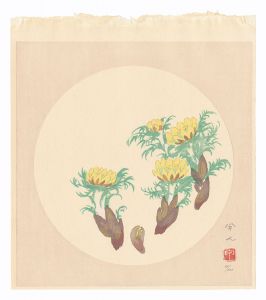 Kudo Kojin / Fukujuso Plant