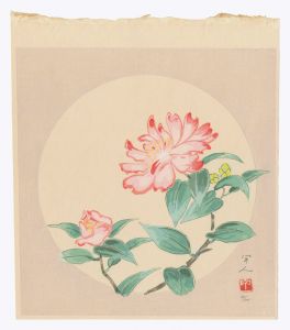 Kudo Kojin / Camellia