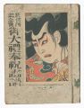 Shin Nigao / Special Issue, Vo......