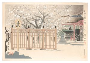 Holy Historical Sites / No. 22: Flying Plum of Tukushi Dazaihutenman