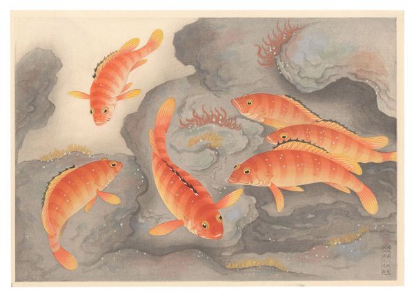 Ono Bakufu “Fish of Japan / Blacktip Grouper”