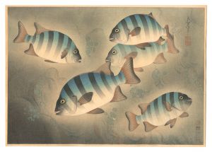Ono Bakufu / Fish of Japan / No. 6 of Volume 2: Rock Sea Bream