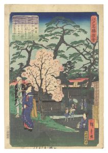 Hiroshige II / Views of Famous Places in Edo / Ushigozen [江戸名勝図会　牛御前]