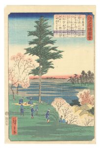 Hiroshige II / Views of Famous Places in Edo / Nippori [江戸名勝図会　日暮里]
