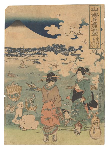 国芳「山海名産尽　東都第一 角田川の白魚」