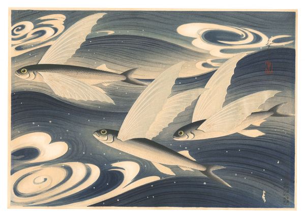 大野麥風「大日本魚類画集　第一輯ノ六 飛魚」