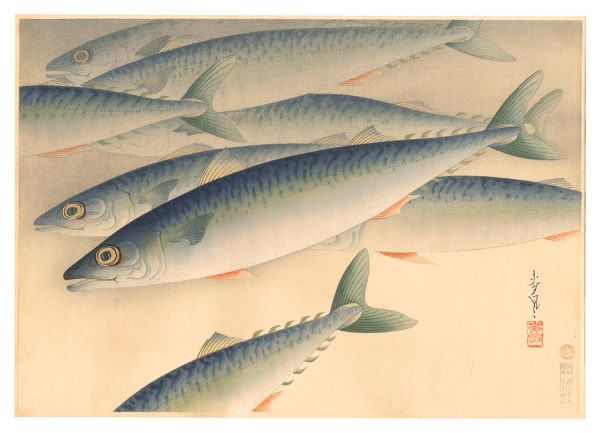 Ono Bakufu “Fish of Japan / No. 4 of Volume 2: Mackerel”