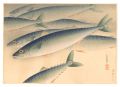 Fish of Japan / No. 4 of Volum......