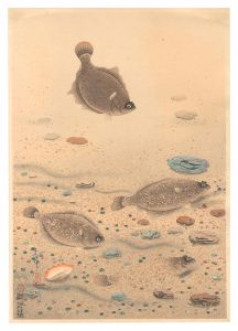 Ono Bakufu / Fish of Japan / No. 11 of Volume 1: Halibut