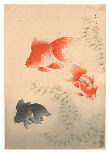Ono Bakufu “Fish of Japan / No. 12 of Volume 1: Goldfish”