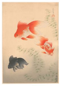Ono Bakufu / Fish of Japan / No. 12 of Volume 1: Goldfish