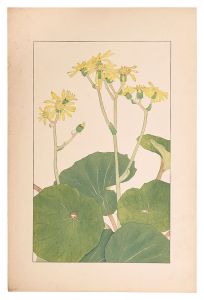 Sugiura Hisui / Japanese Silver Leaf