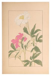 Sugiura Hisui / Peony