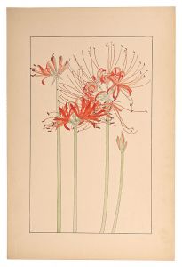 Sugiura Hisui / Red spider lily