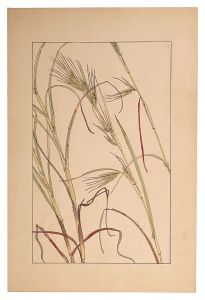 Sugiura Hisui / Thatching grass
