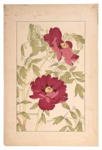 Sugiura Hisui / Peony