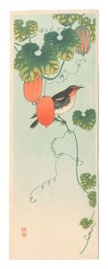 Ohara Koson (Shoson) / Snake Gourd and Narcissus Flycatcher (tentative title)