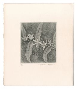 Kimura Shigeru / Toad Lily