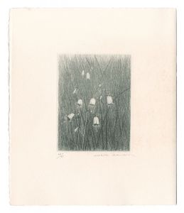 Kimura Shigeru / Japanese Lady Bell