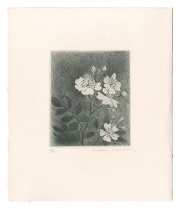 Kimura Shigeru / Japanese Rose