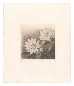 Kimura Shigeru / Fukujuso Plant