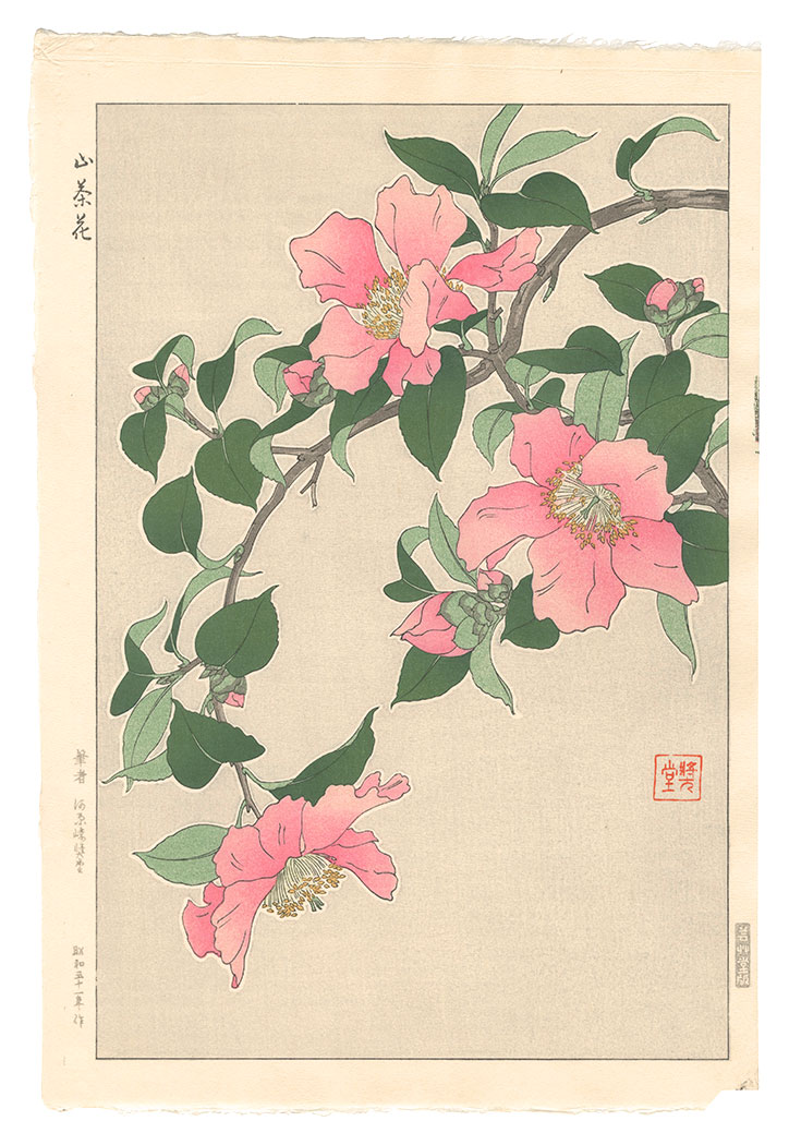 河原崎奨堂「山茶花」