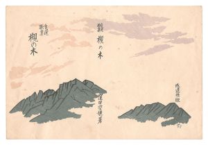 『槻の木』表紙絵