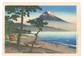 Pine Beach at Miho