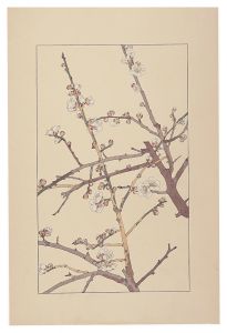 杉浦非水「梅」