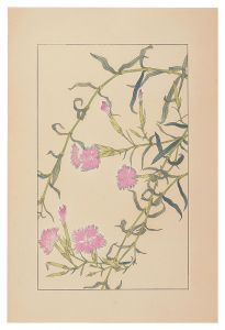 杉浦非水「撫子」