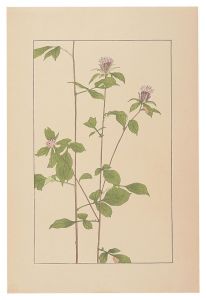 杉浦非水「蒼朮」