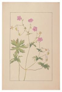 杉浦非水「赤沼風露」