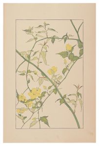 杉浦非水「山吹」