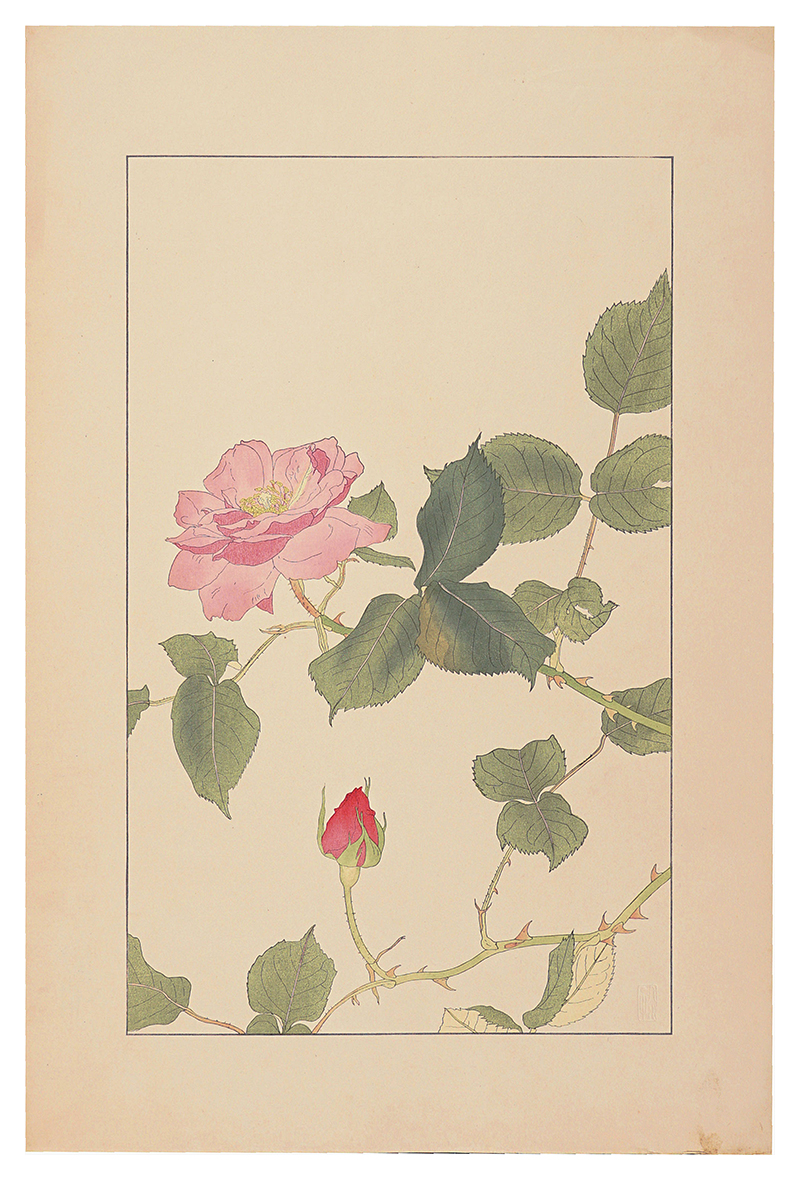 杉浦非水「薔薇」