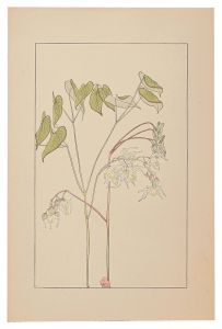 杉浦非水「錨草」