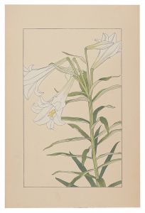 杉浦非水「鉄砲百合」