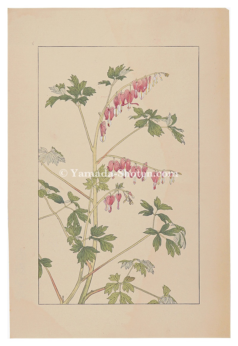 Sugiura Hisui “Bleeding　Hearｔｓ”