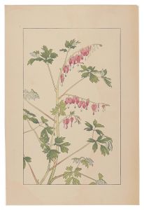 Sugiura Hisui / Bleeding　Hearｔｓ