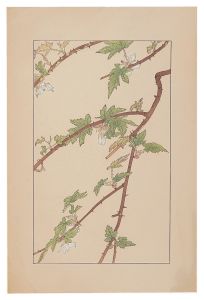 杉浦非水「木苺」