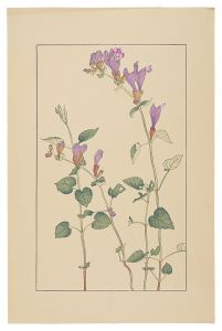 杉浦非水「羅生門葛」