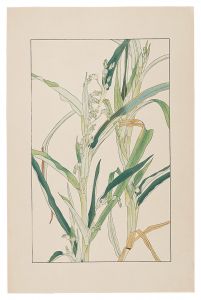 杉浦非水「珠數玉」