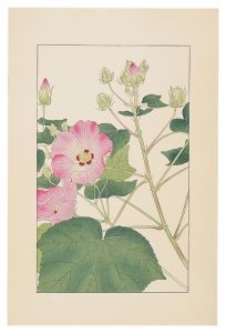 杉浦非水「芙蓉」