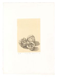 Misu Yuji / Walnuts (tentative title)