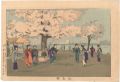 Cherry Blossoms at Mukojima
