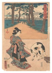 Hiroshige I and Toyokuni III / The Fifty-three Stations by Two Brushes / Fujisawa [双筆五十三次　藤沢]