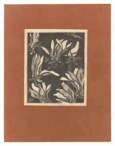 <strong>Tsukamoto Tetsu</strong><br>Magnolia